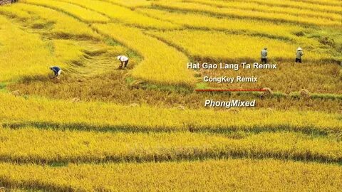 Hotspot Matrix đồng hành cùng Ngày hội Ý tưởng Khởi nghiệp tại UEL_Video ngắn cho doanh nghiệp nhỏ