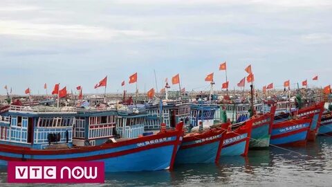 Xu hướng Vì sao nhiều người học dốt: Hotspot Matrix tiết lộ bí quyết video viral