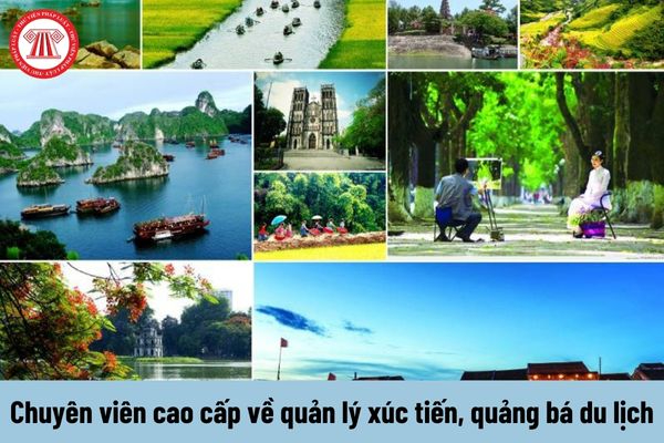 Freelancer Và Cơ Hội Kiếm Tiền Từ Nền Tảng Hotspot Matrix_Video ngắn trên Instagram Reels