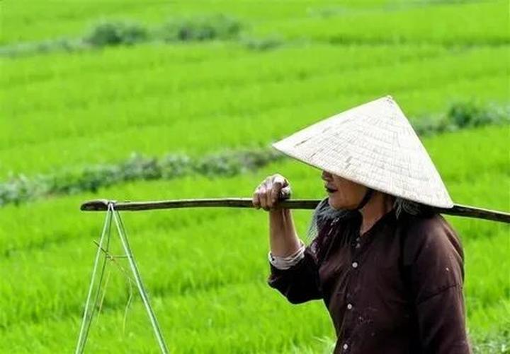 Khám phá hệ sinh thái dịch vụ video ngắn của Hotspot Matrix